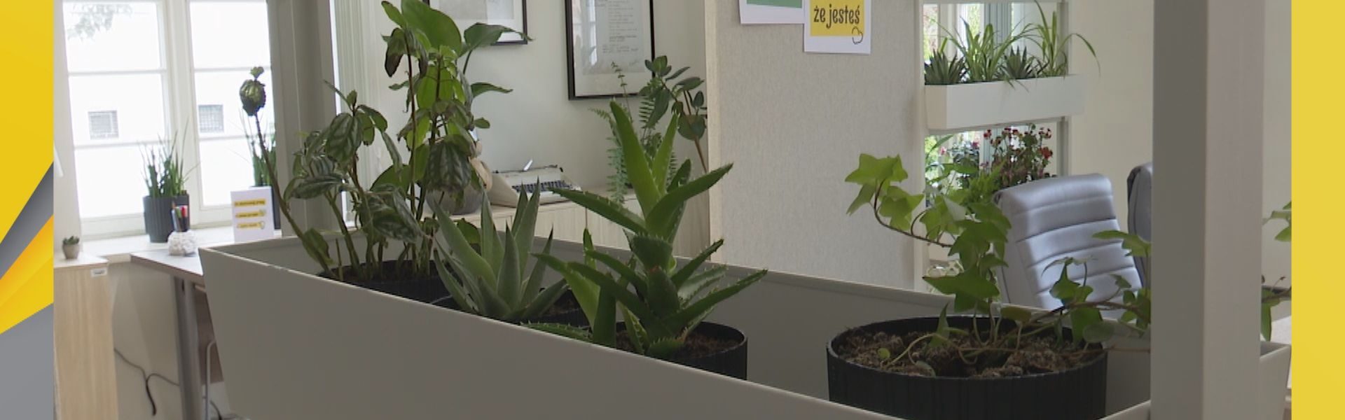 Odpocznij z książką w strefie Open Space