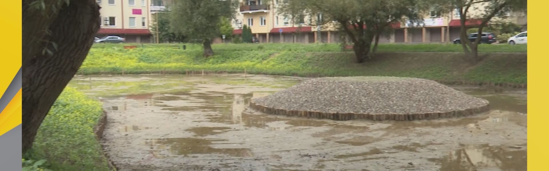 Wraca woda do wyschniętego stawku